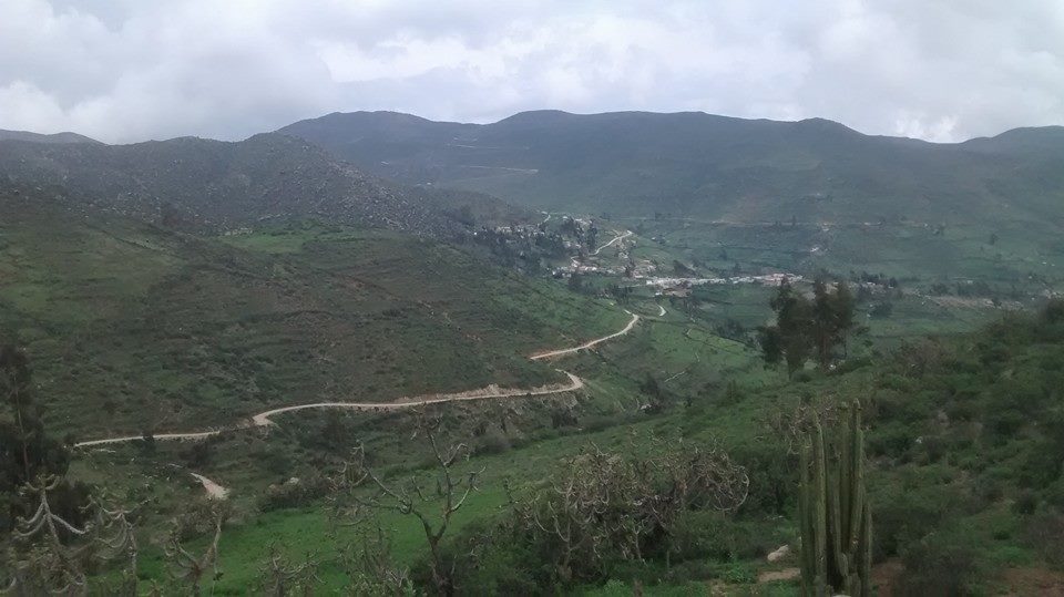 Amacclle