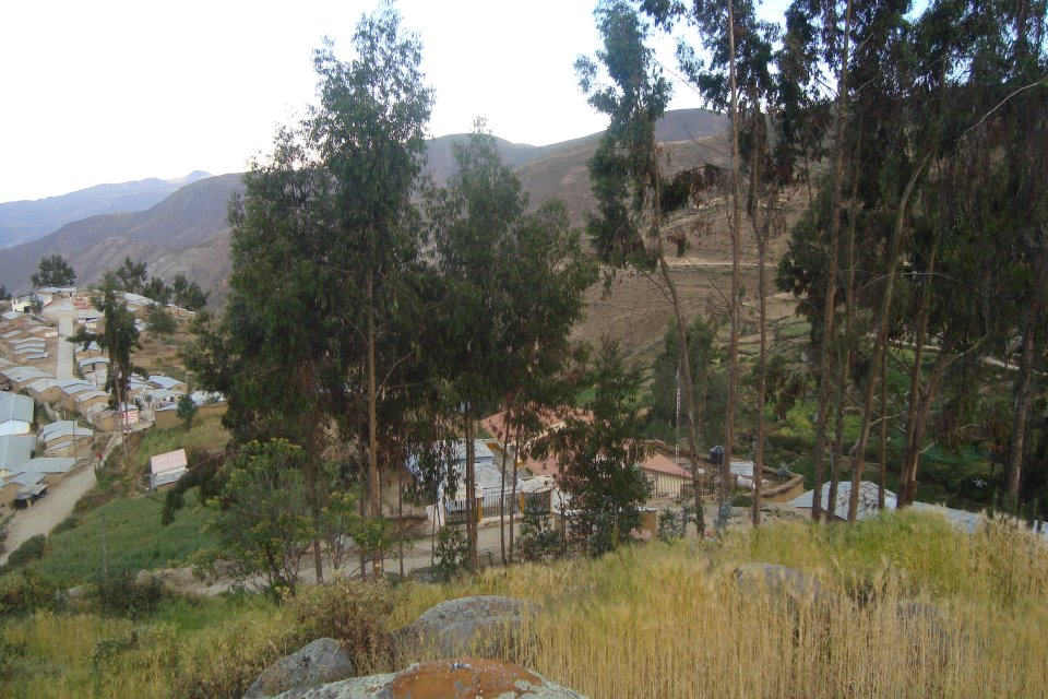 Amacclle