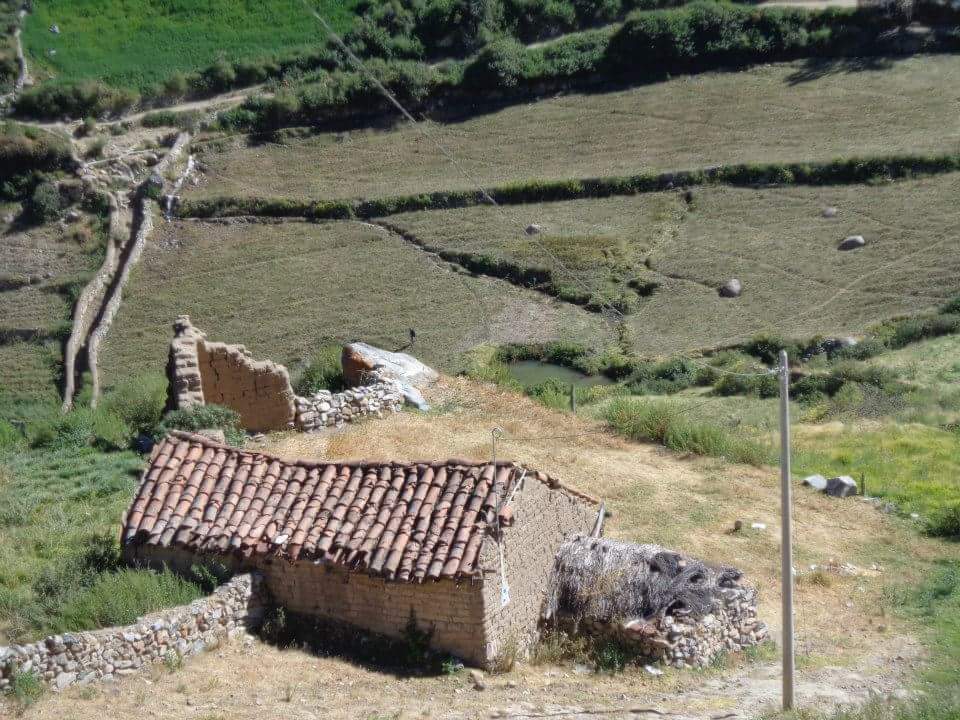 Amacclle
